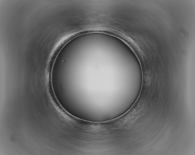 X0000113011416200908271359