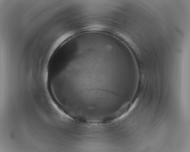 X0000113011418200908271359