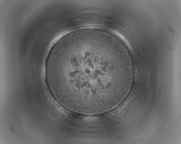 X0000113011419200908271359