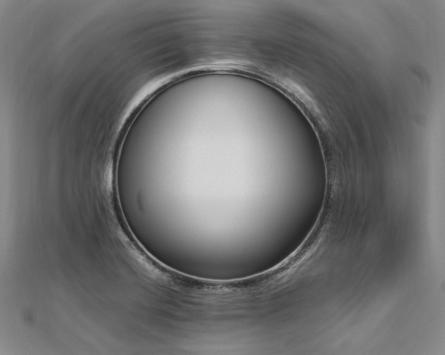 X0000113011420200908271359