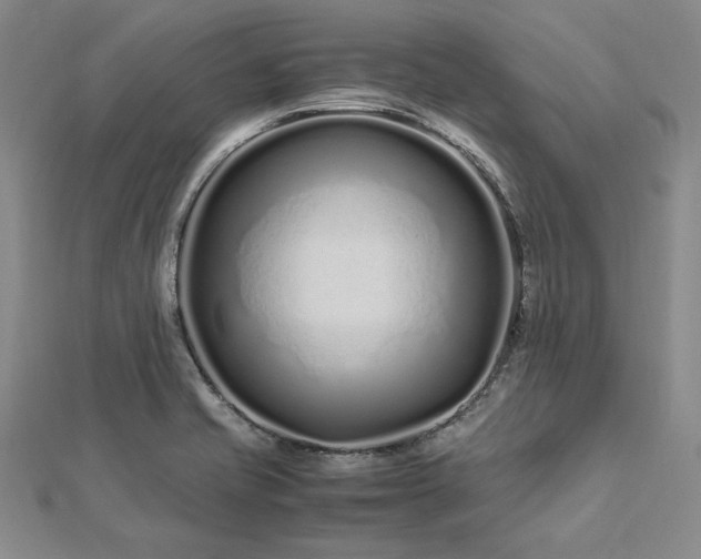 X0000113011421200908271359