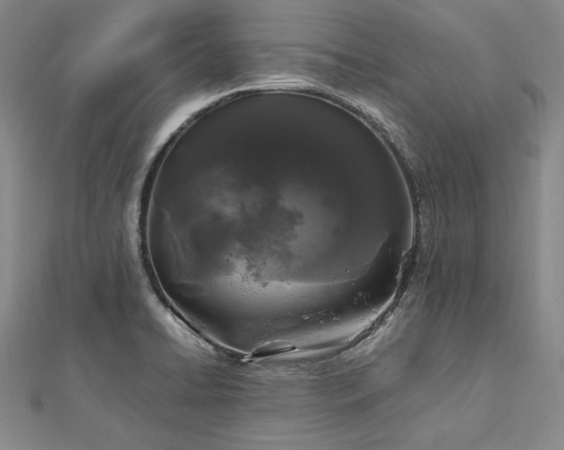 X0000113011422200908271359