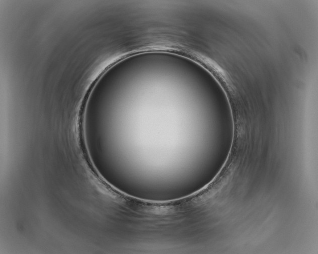 X0000113011423200908271359