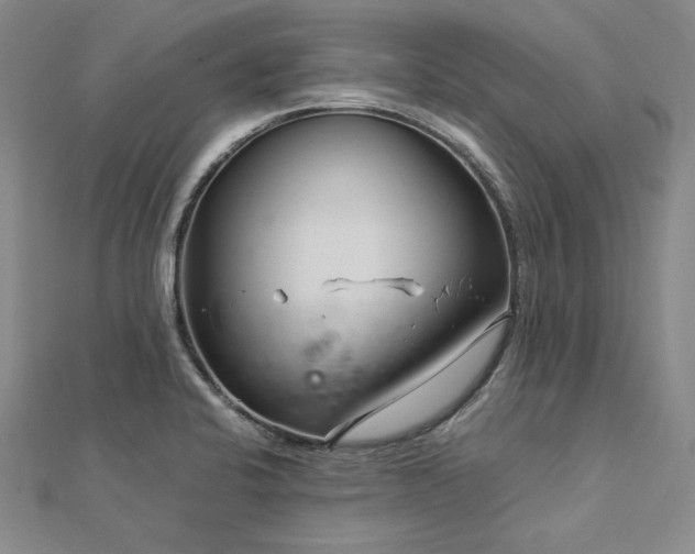 X0000113011424200908271359