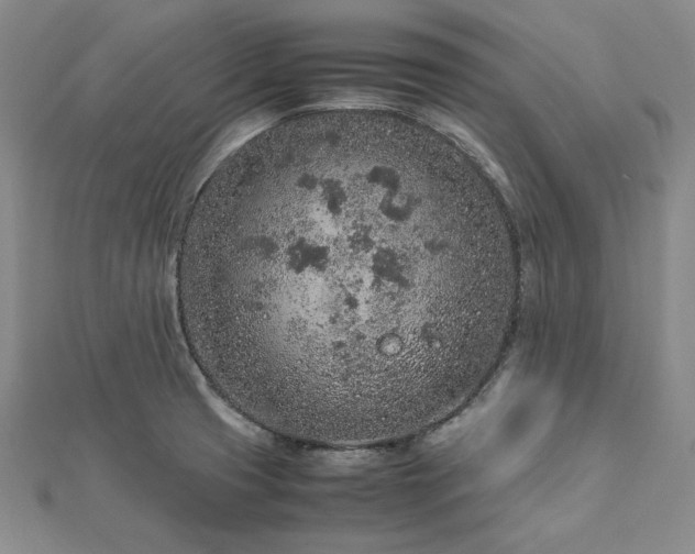 X0000113011425200908271359