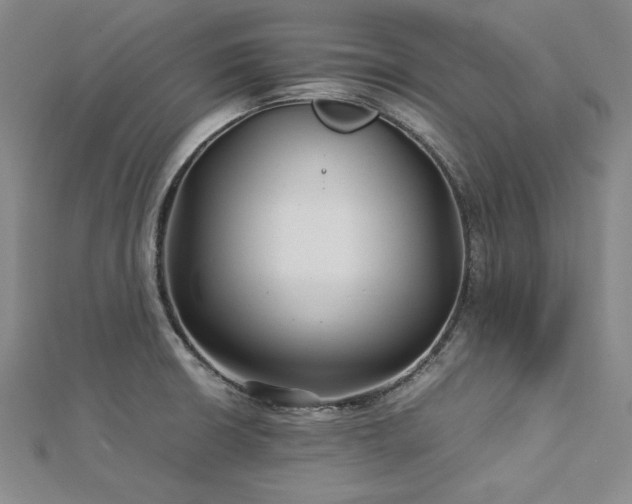 X0000113011426200908271359