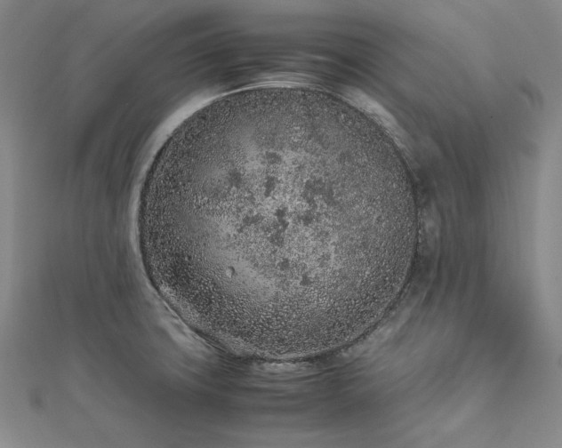 X0000113011427200908271359