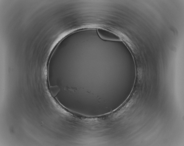 X0000113011428200908271359