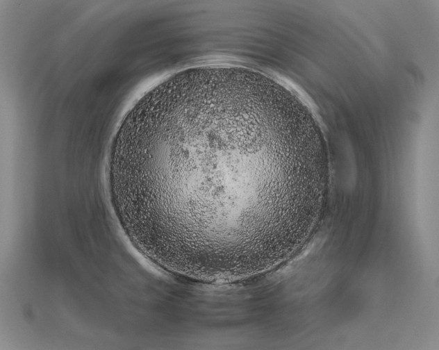 X0000113011429200908271359