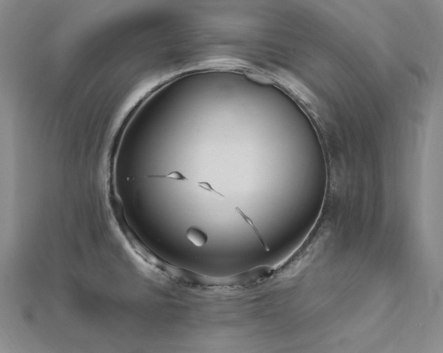 X0000113011430200908271359