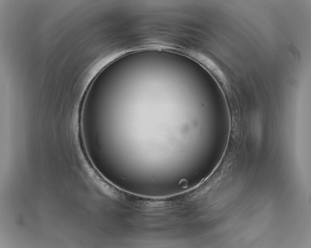 X0000113011431200908271359