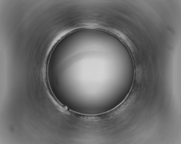 X0000113011432200908271359