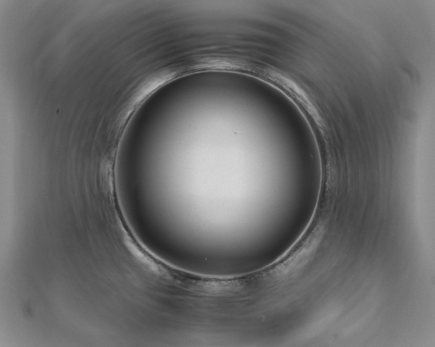 X0000113011433200908271359