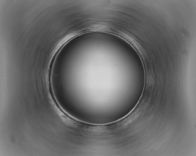 X0000113011434200908271359