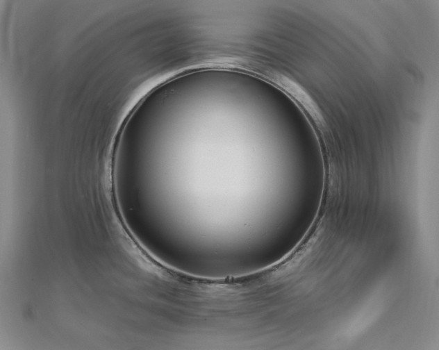 X0000113011436200908271359