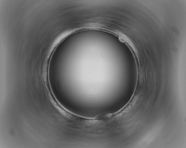 X0000113011437200908271359