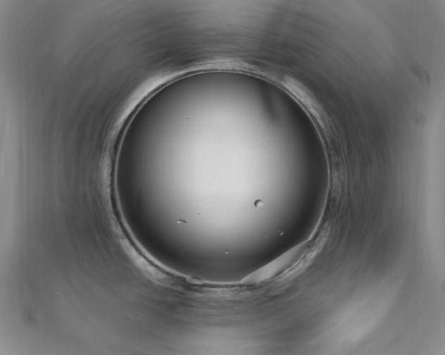 X0000113011438200908271359