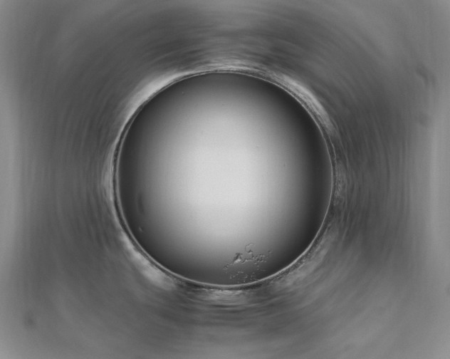 X0000113011439200908271359