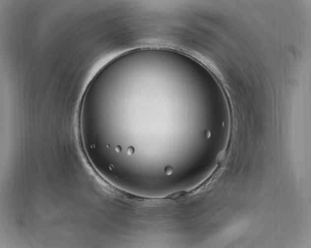 X0000113011440200908271359