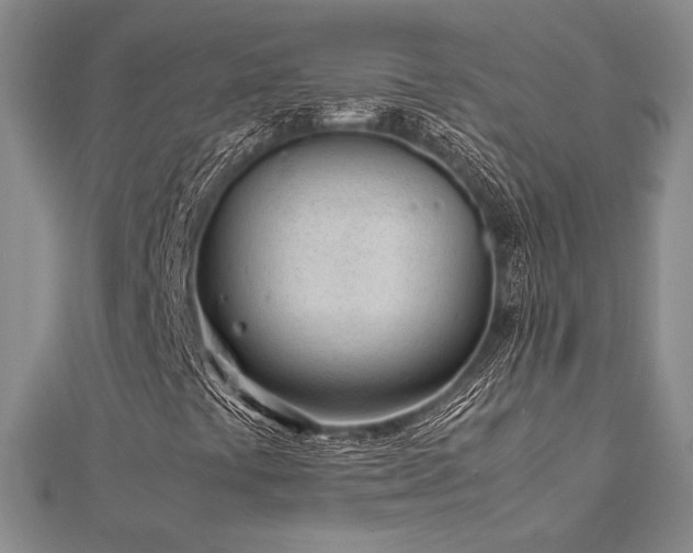 X0000113011441200908271358