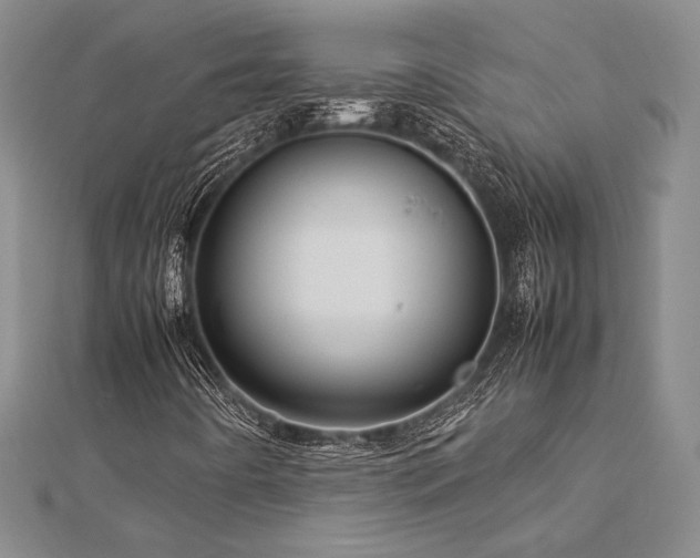 X0000113011442200908271358