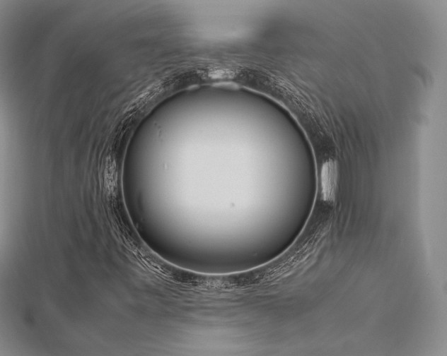 X0000113011443200908271358