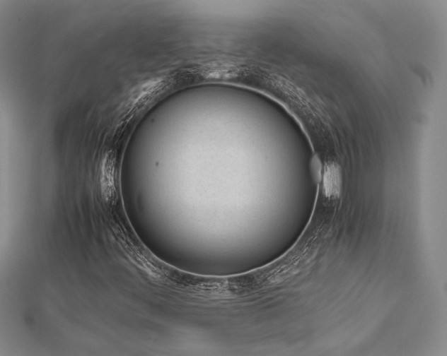 X0000113011444200908271358