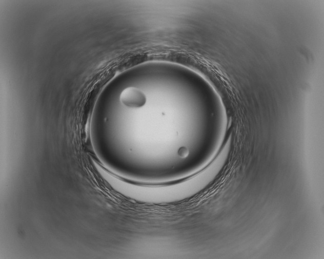 X0000113011445200908271358