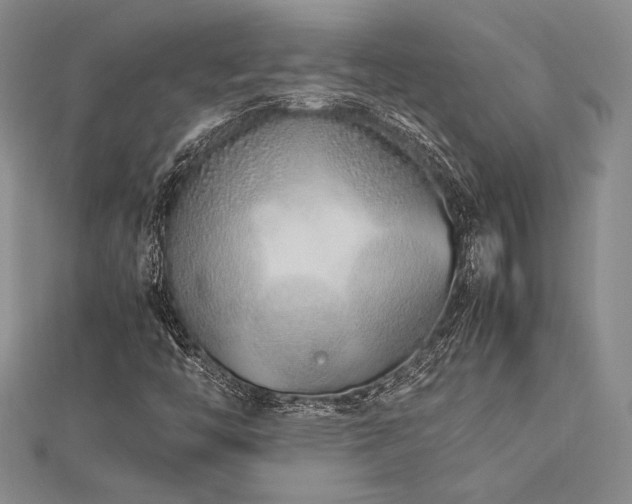 X0000113011446200908271358