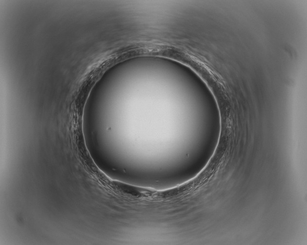 X0000113011447200908271358