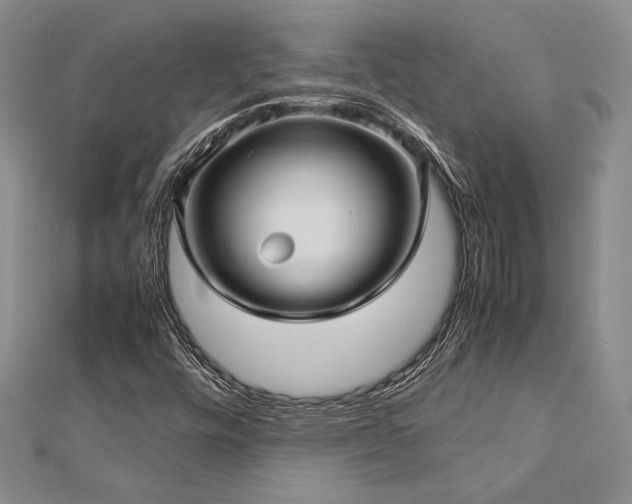 X0000113011448200908271358