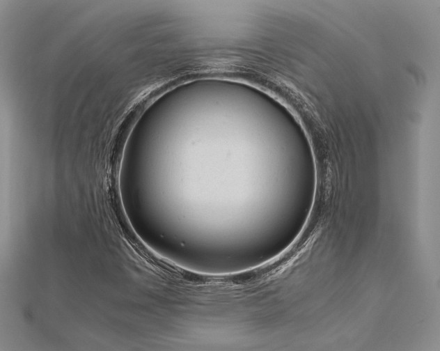 X0000113011449200908271358