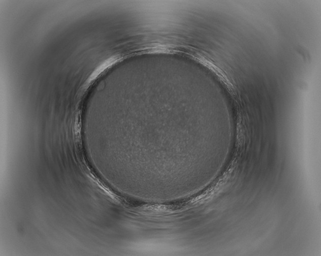 X0000113011450200908271358