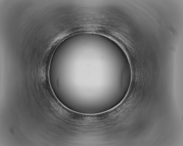 X0000113011451200908271358