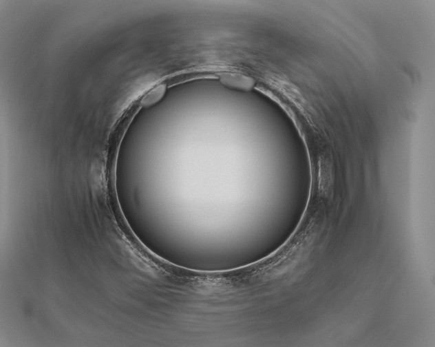 X0000113011452200908271358