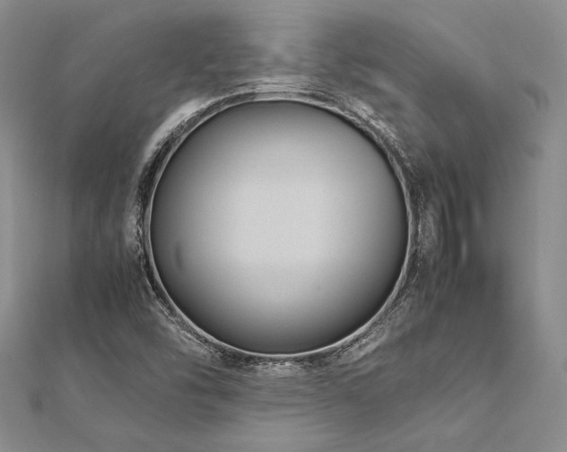 X0000113011454200908271358