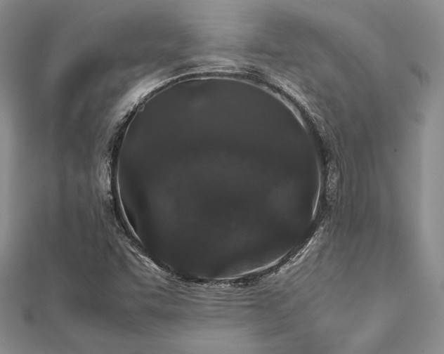 X0000113011455200908271358