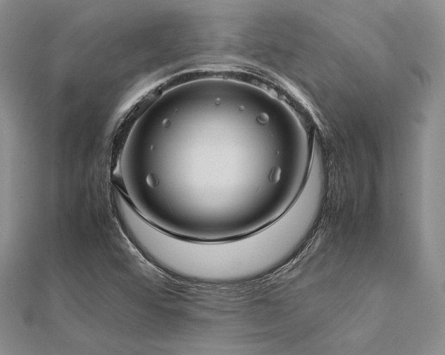 X0000113011456200908271358