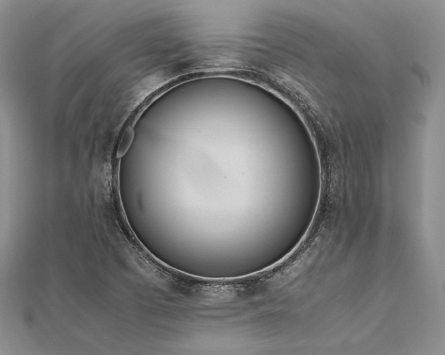 X0000113011457200908271358