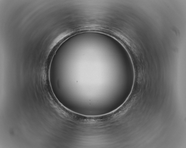 X0000113011458200908271358