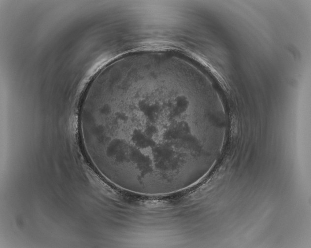 X0000113011459200908271358