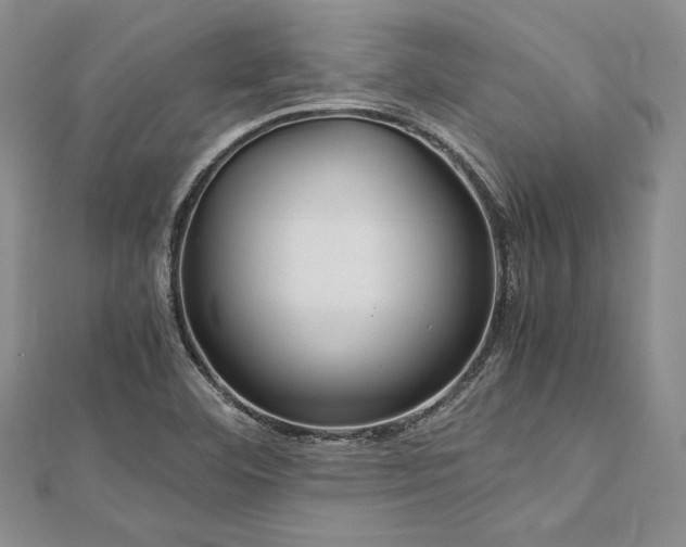 X0000113011460200908271358