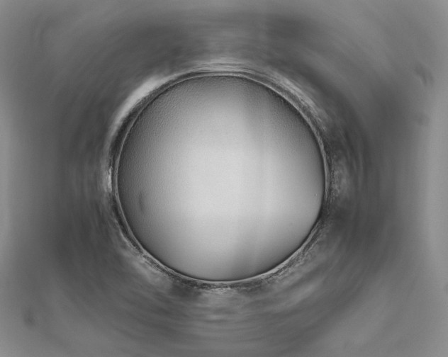 X0000113011462200908271358