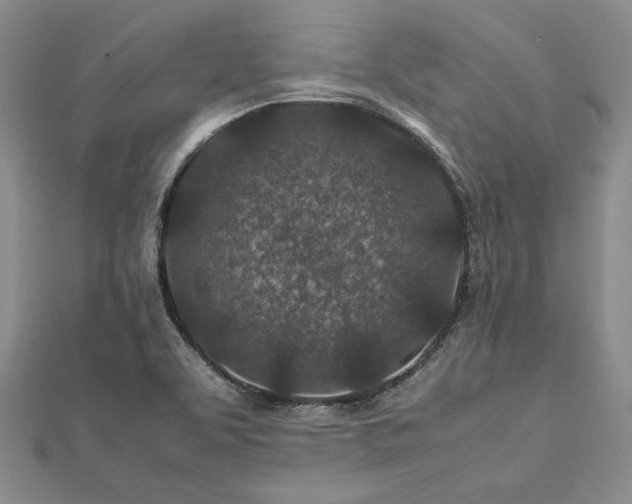 X0000113011463200908271358