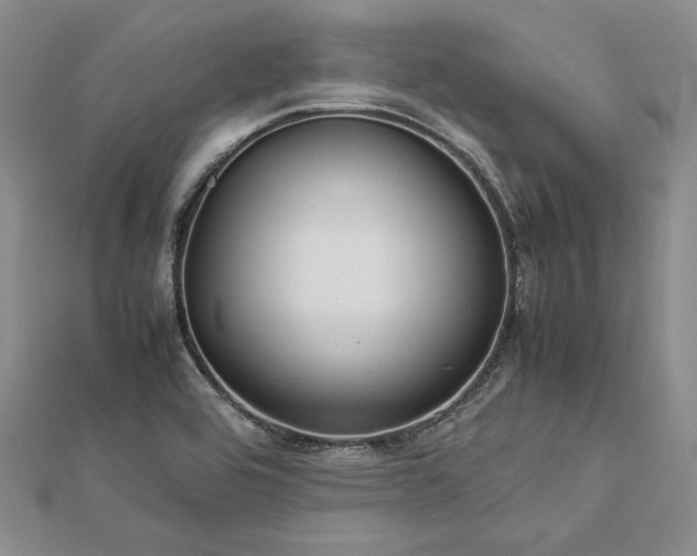 X0000113011464200908271358