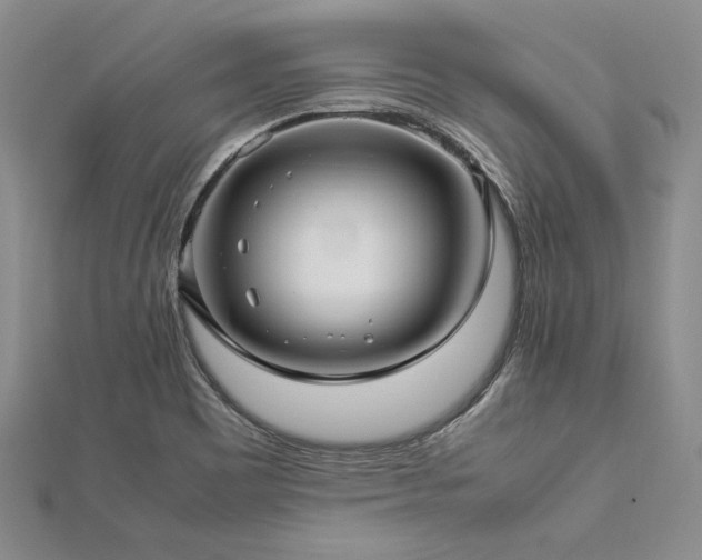 X0000113011465200908271358