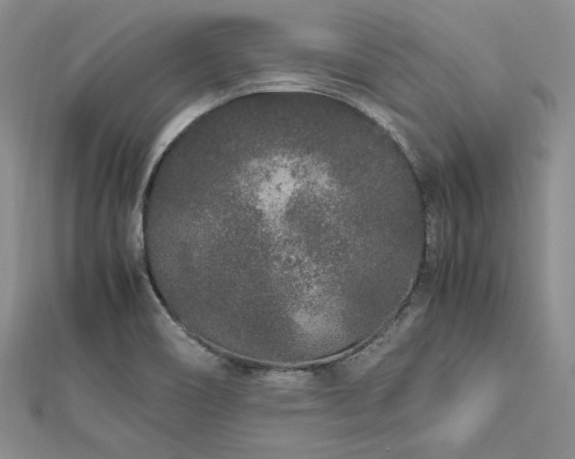 X0000113011466200908271358