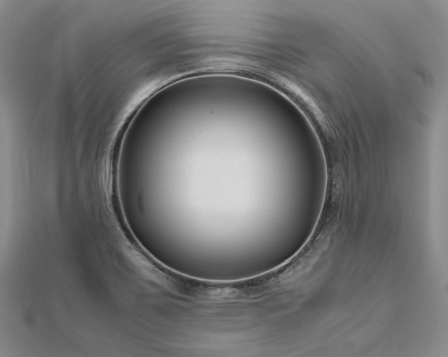 X0000113011467200908271358