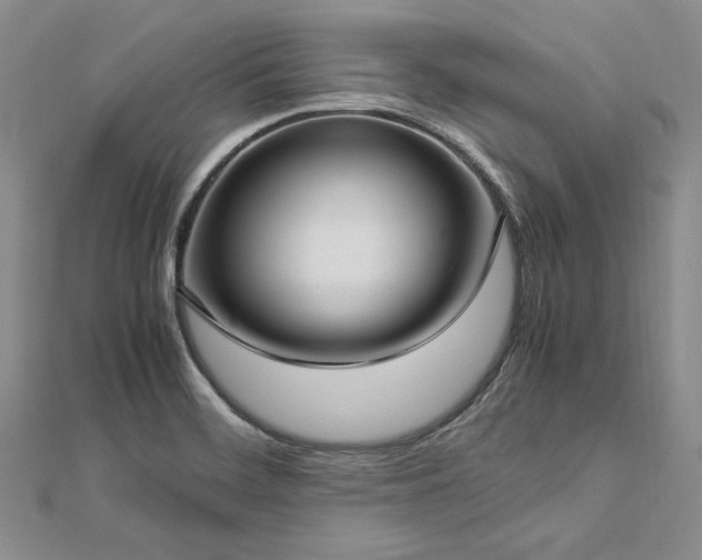 X0000113011468200908271358