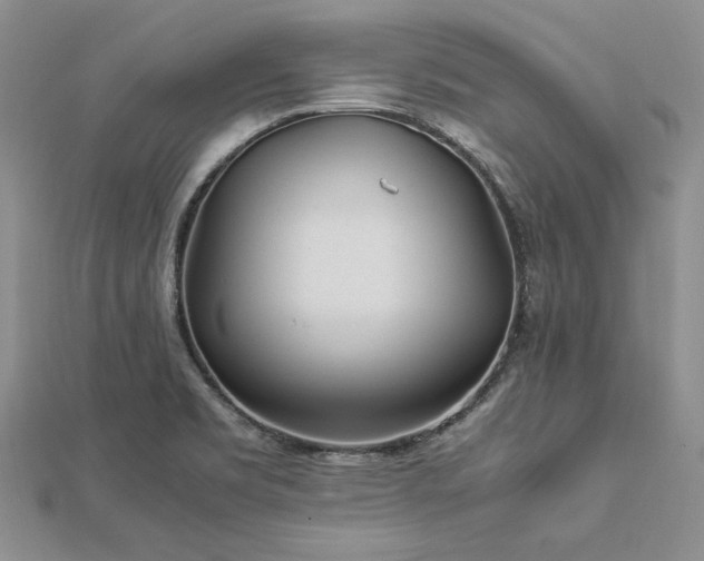 X0000113011469200908271358